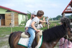 playing on horses