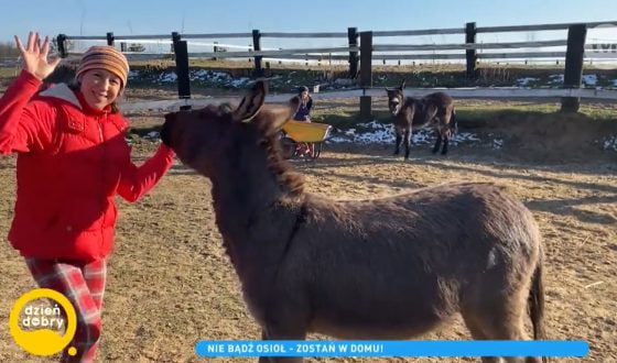Toskania Kociewska w TVN